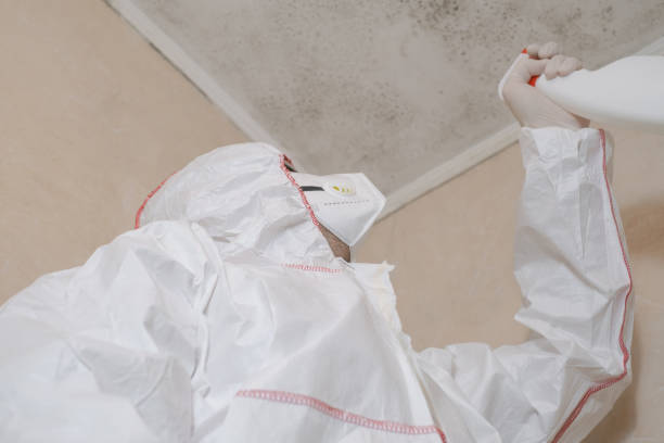 Mold Removal for HVAC Installations